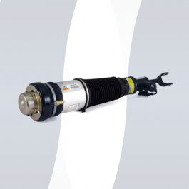 Audi A6 C6 4F Arnott air strut front left new 4F0616039AA