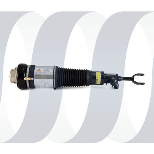 Audi A6 C6 4F Arnott air strut front left new 4F0616039AA