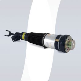 Audi A6 C6 4F Arnott air strut front right new 4F0616040AA