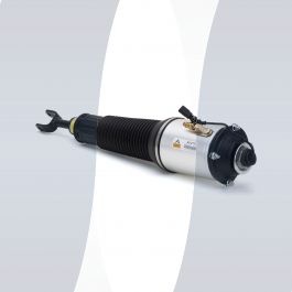 Audi A8 D3 4E veerpoot voorzijde links sport luchtvering 4E0616039