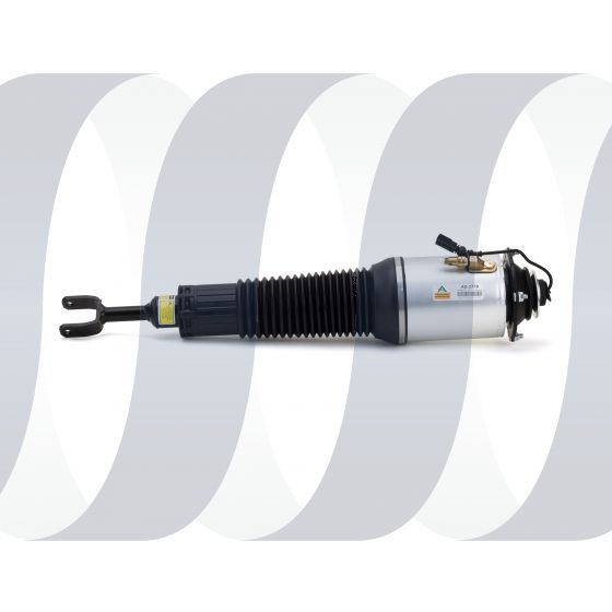 Audi A8 D3 4E veerpoot voorzijde links sport luchtvering 4E0616039