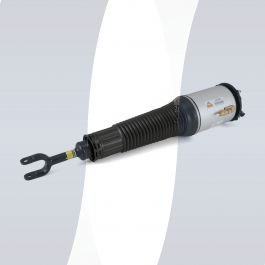 Audi A8 D3 4E veerpoot voorzijde links standaard luchtvering gereviseerd 4E0616039AF