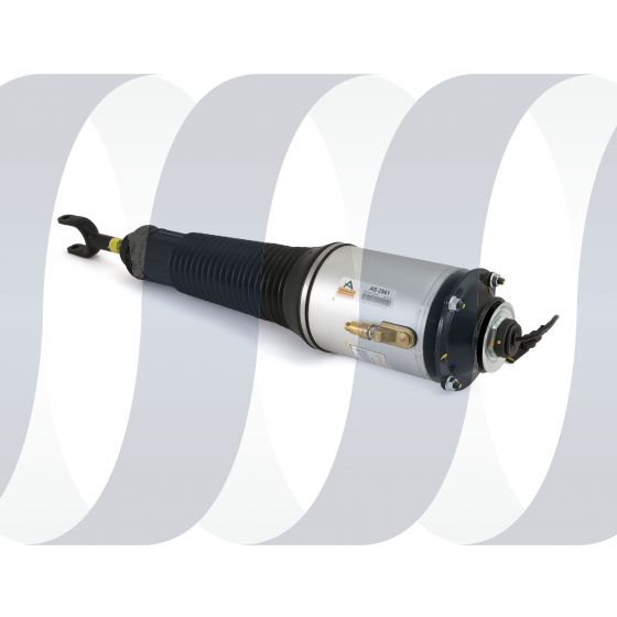 Audi A8 D3 4E veerpoot voorzijde links standaard luchtvering gereviseerd 4E0616039AF