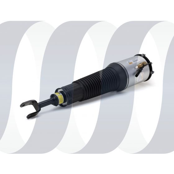 Audi A8 D3 4E veerpoot voorzijde rechts sport luchtvering 4E0616040