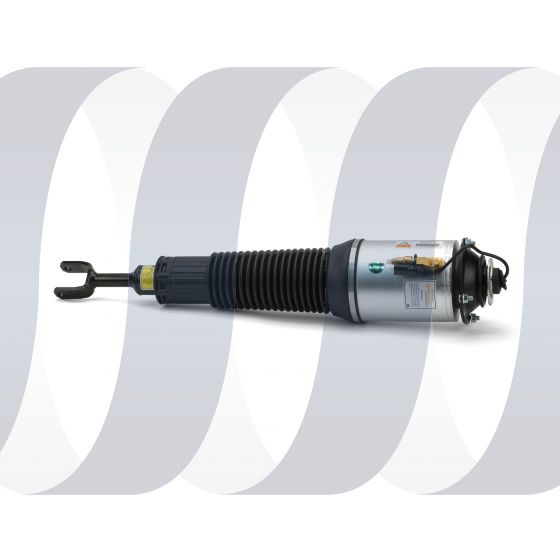 Audi A8 D3 4E veerpoot voorzijde rechts standaard luchtvering 4E0616040AF