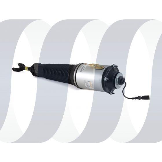 Audi A8 D3 4E veerpoot voorzijde rechts standaard luchtvering gereviseerd 4E0616040AF