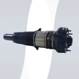 Audi A8 D4 4H air strut front