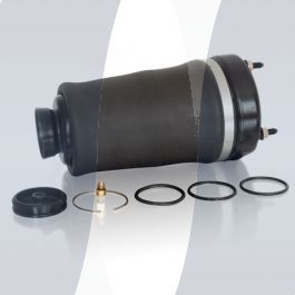 Mercedes M-Klasse W164 airmatic air spring front | A1643206013