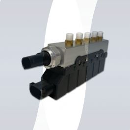 Mercedes S-Class W220 valve block 2203200258