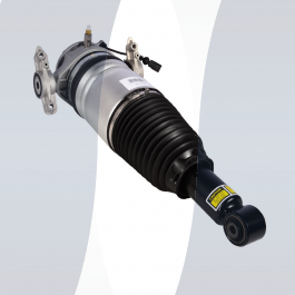 Porsche Cayenne 92A air strut rear left